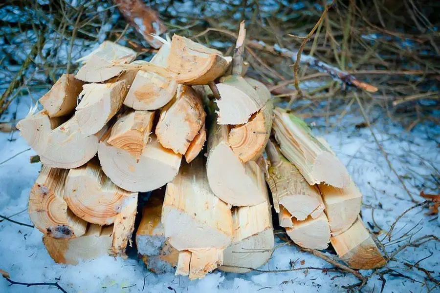 Holzstamm wird mit Eigenbau Holzkeil gespaltet