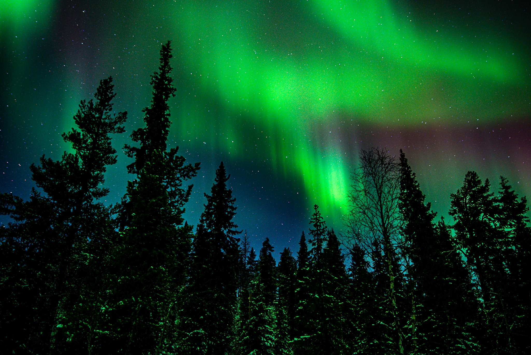 Magischer Himmel unweit von Jokkmokk