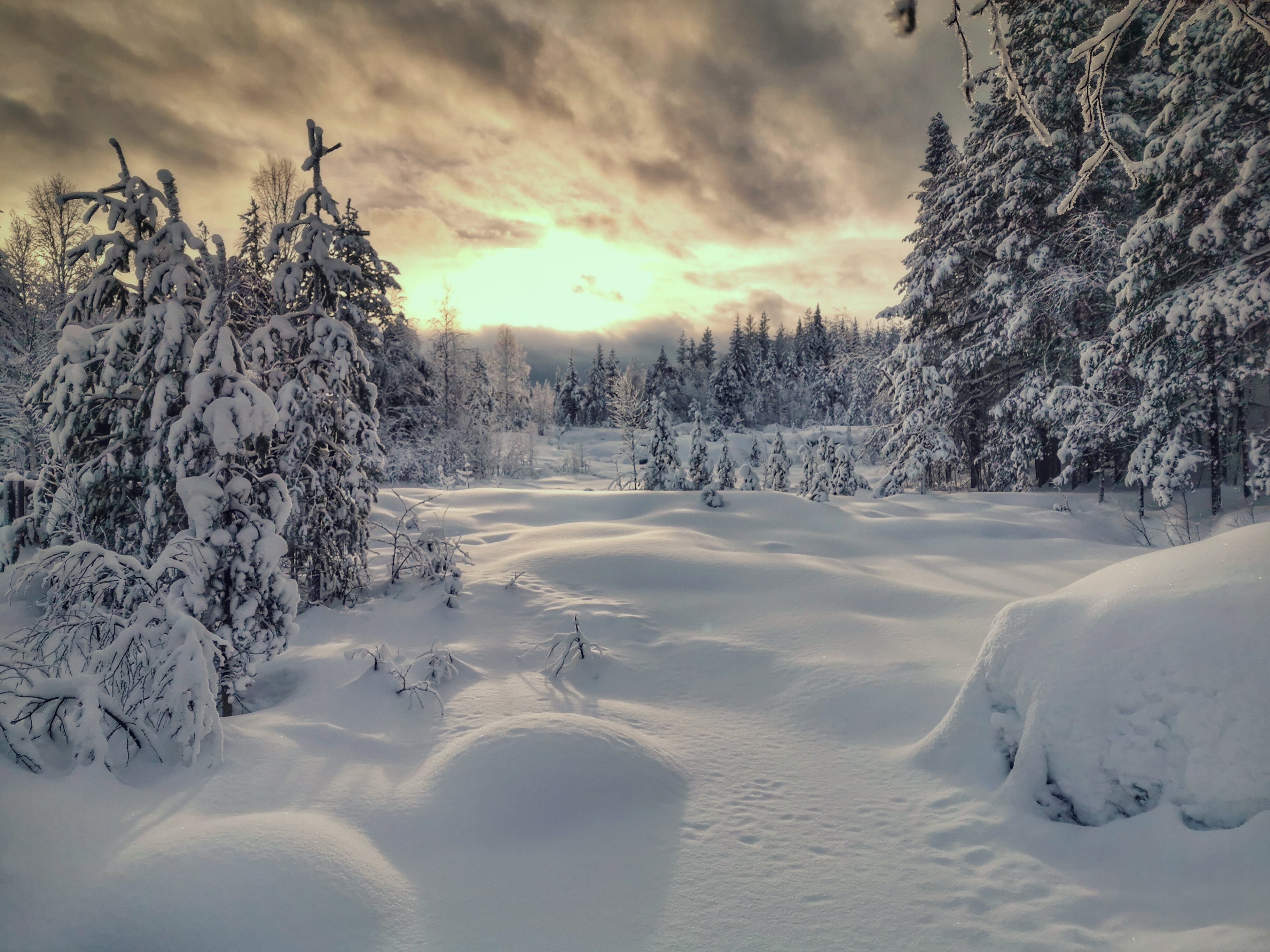 Sonnenuntergang im verschneiten Schweden