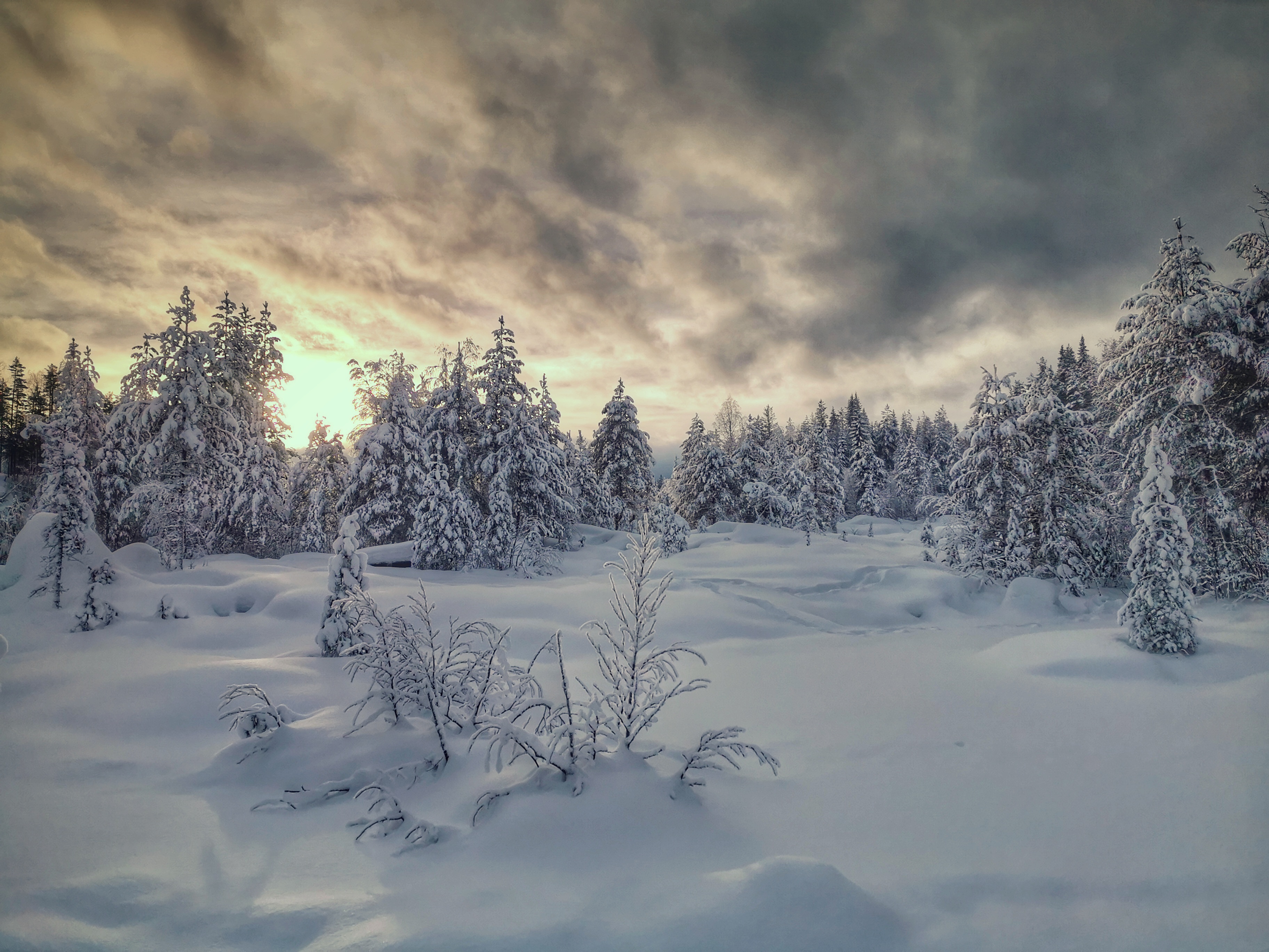 Schwedens Winter Traumwelten