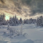 Schwedens Winter Traumwelten