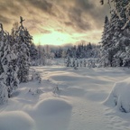 Sonnenuntergang im verschneiten Schweden